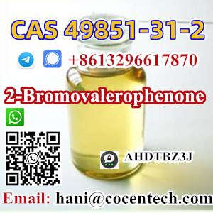 2 Bromovalerophenone CAS 49851 31 2