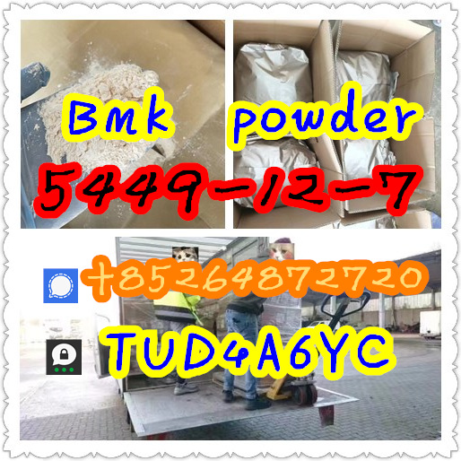 New BMK Glycidic Acid Sodium Salt