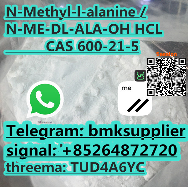 N Methyl DL Alanine 600 21