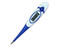 digital thermometer