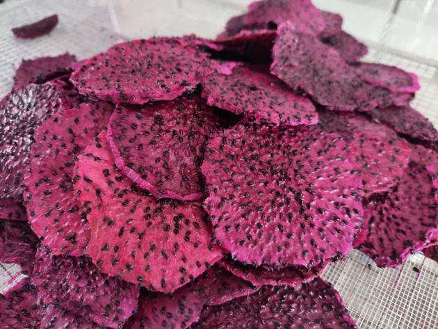 DRIED DRAGON FRUIT - PREMIUM QUALITY - BEST PRICE