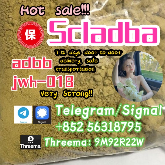 5cladba 5cladba The Best Supplier In