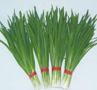 leek extract