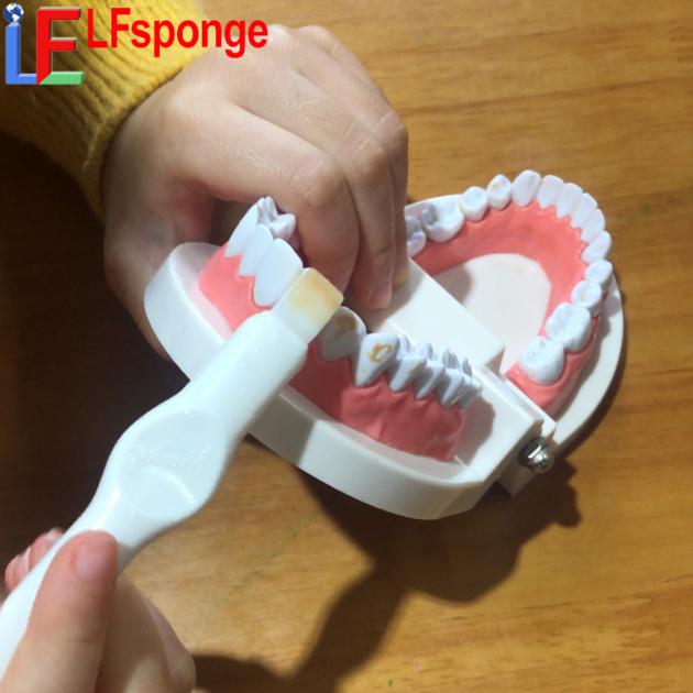 Cleaning Teeth Stains Remove Tartar Plaque