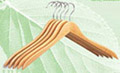 coat hanger