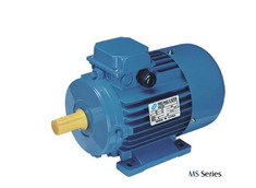 MS Three-phase Aluminium Housing Motor