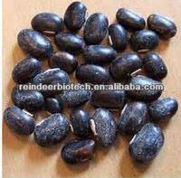 Mucuna Pruriens Extract