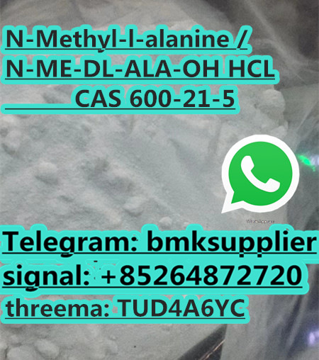 N-Methyl-DL-alanine 600-21-5