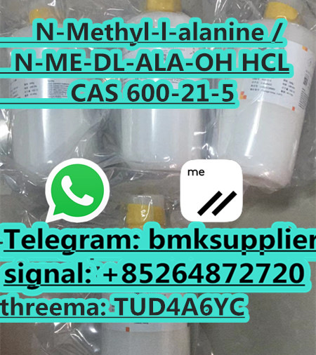 N Methyl DL Alanine 600 21