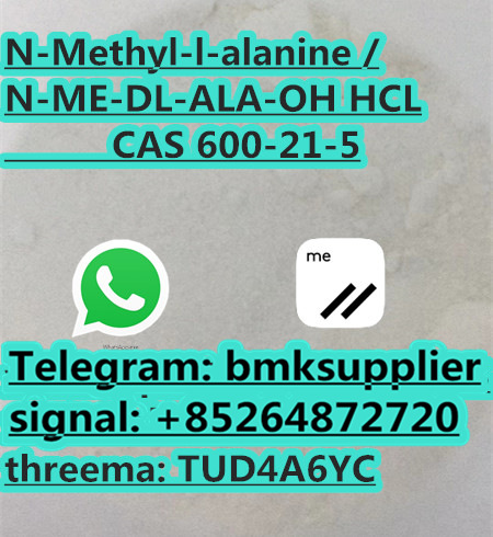 N Methyl DL Alanine 600 21