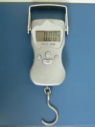 fishing scale