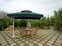 parasol