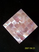 shell mosaic
