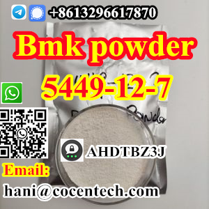 Hot Precursor 5449 12 7 Bmk