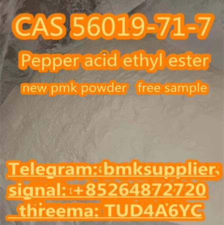 Pepper Acid Ethyl Este Nieuwe PMK