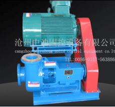shearing pump