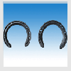 American horseshoe