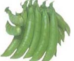 IQF sugar snap peas