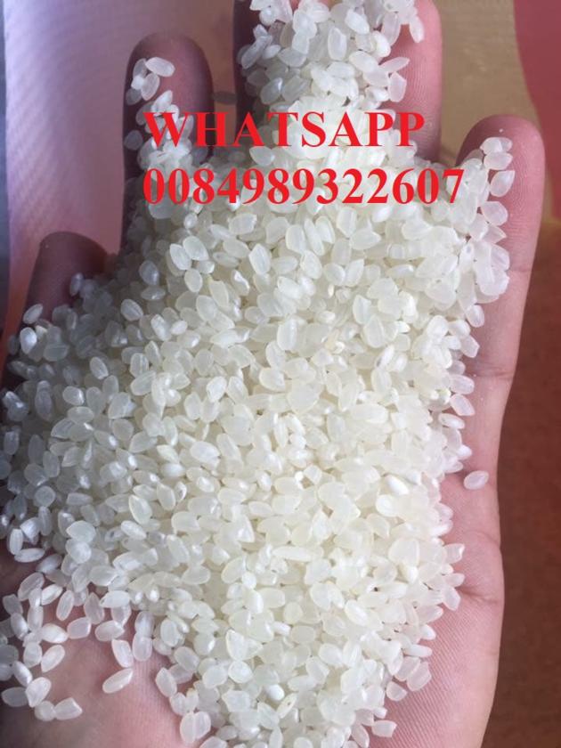 JAPONICA RICE 5% BROKEN (ROUND GRAIN RICE ), VIETNAM ORIGIN, USED FOR SUSHI RICE - Riz- Arroz-