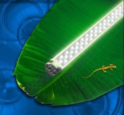 LED tube