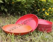 biodegradable and eco-friendly tableware