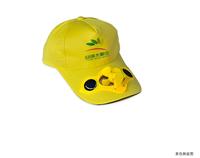 Solar hat