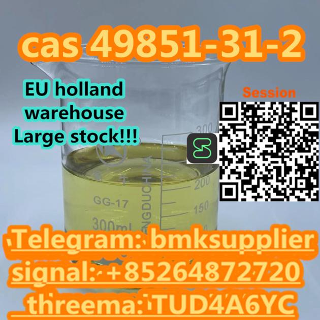 Europe Warehouse Sell Supply CAS 49851