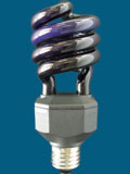 Spiral Compact Fluorescent Bulb
