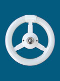 Ring Compact Fluorescent Bulb