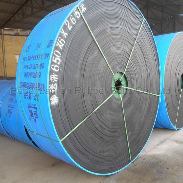 Polyester canvas general flame retardant conveyor belt