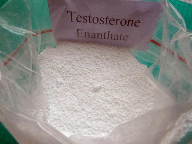 Muscle Building Depot Testosterone Enanthate Steroid 