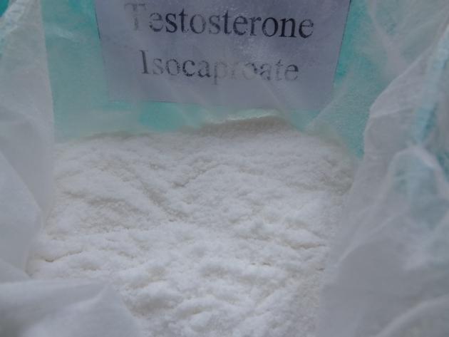 Testosterone Isocaproate (Steroids)  