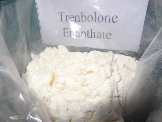 Trenbolone Enanthate (parabolan) (Steroids) 