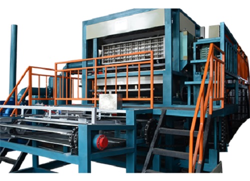 Apple Tray Production Line