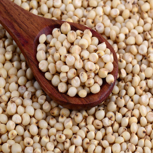 Wheat, Maize, Rice, Rice Bran, Millets, Sorghum