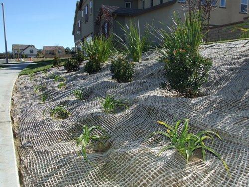 JUTE SOIL SAVER JUTE GEOTEXTILE