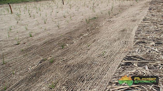 JUTE SOIL SAVER JUTE GEOTEXTILE