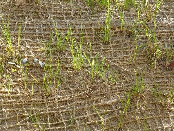 JUTE SOIL SAVER JUTE GEOTEXTILE