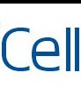 www.yescell.com Nextel i880 i890 i580 Cellphone Exporter