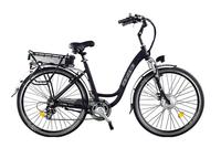 Electric Mountain Bike SG-TDB01Z