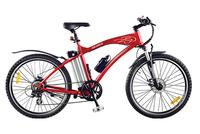 Electric Mountain Bike SG-TDE01G