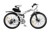 Electric Mountain Bike SG-TDE02G