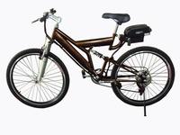 Electric Mountain Bike SG-TDE03G