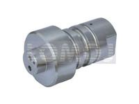 waterjet check valve