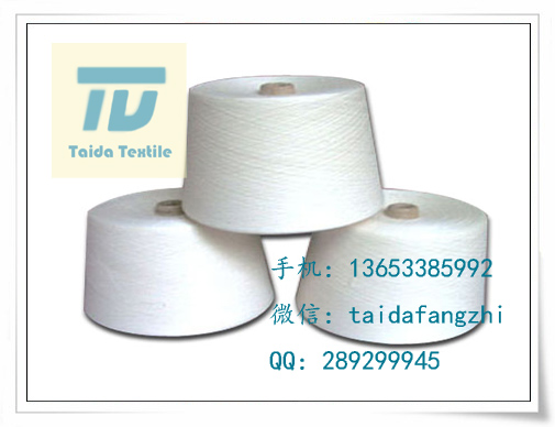T100/T100 21x21 108x58 63