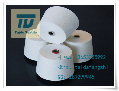 T100 T100 21x21 108x58 63