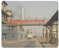 sell melamine power 99.8%min