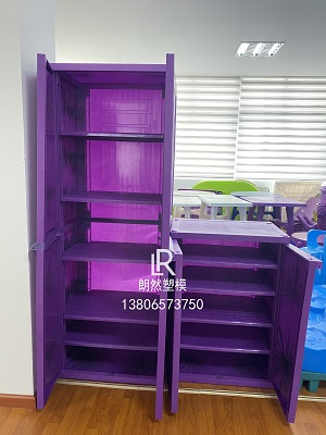 Longrange Mould high quality plastic closet mould