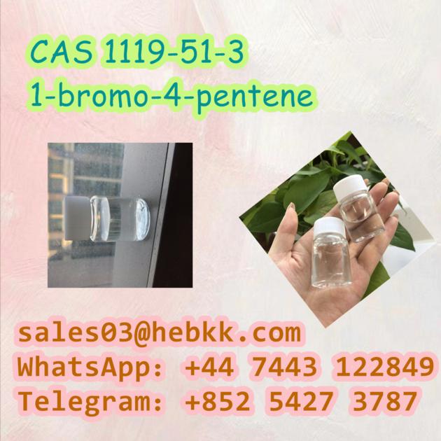 CAS 1119 51 3 1 Bromo