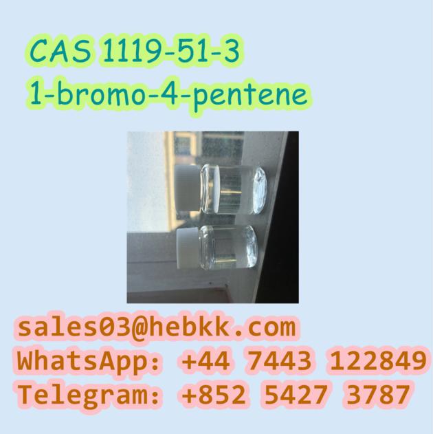 CAS 1119 51 3 1 Bromo